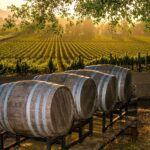For sale is a company without debts, which is engaged in the supply of products for the wine industry and winemakers
